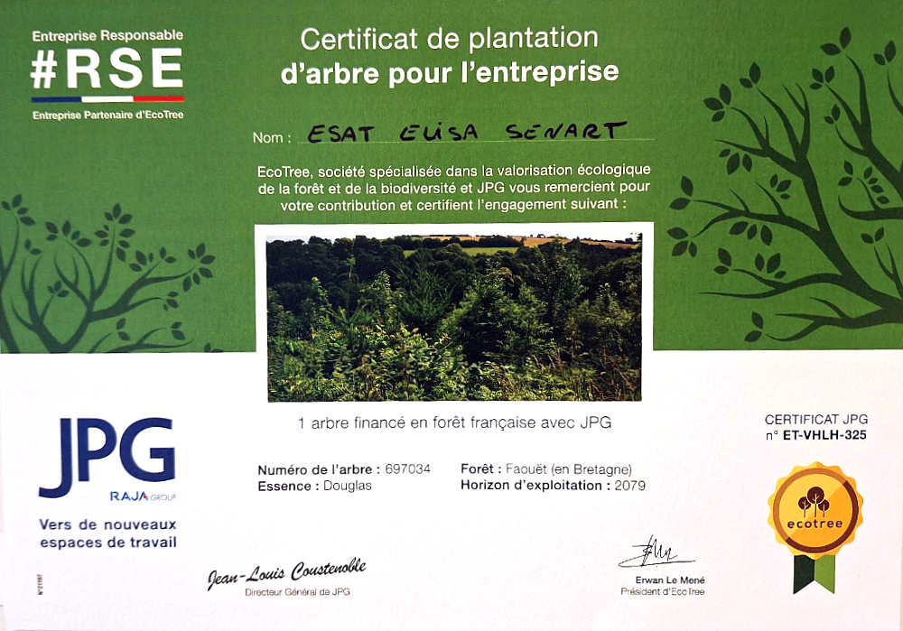 certificat de plantation d'arbre pour l'entreprise